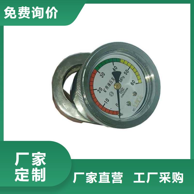 單體支柱測壓儀頂板離層儀貨品齊全