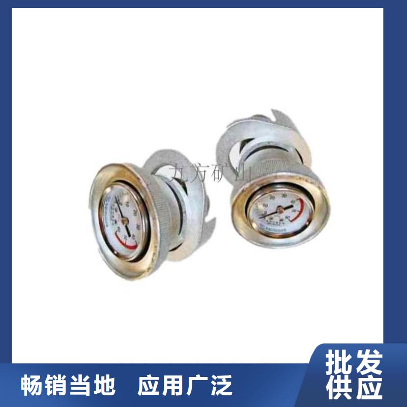 DZ60單體支柱測(cè)壓表制造廠家