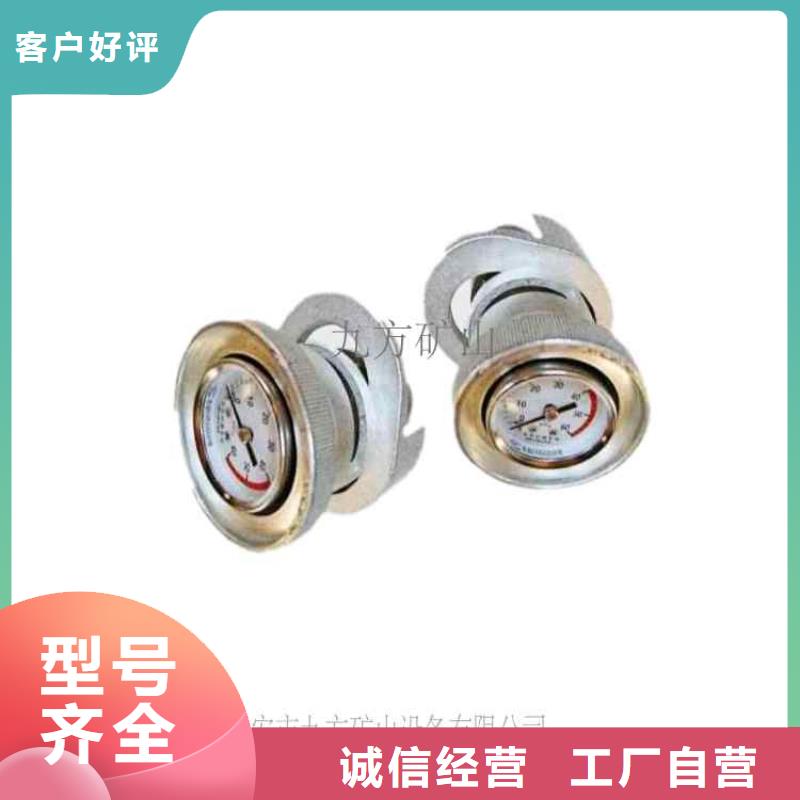 单体支柱测压仪煤层注水表产品优良