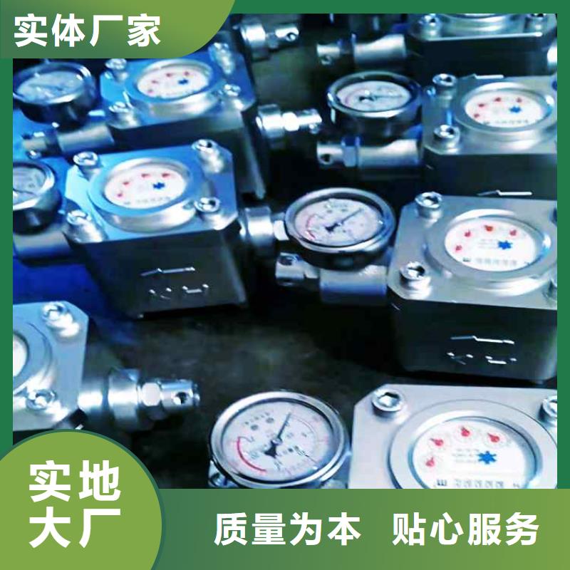 ZGS-6煤層注水表品質放心