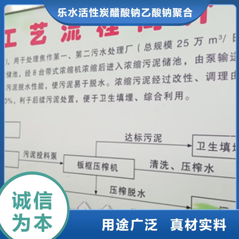 碳源醋酸鈉-制作精良