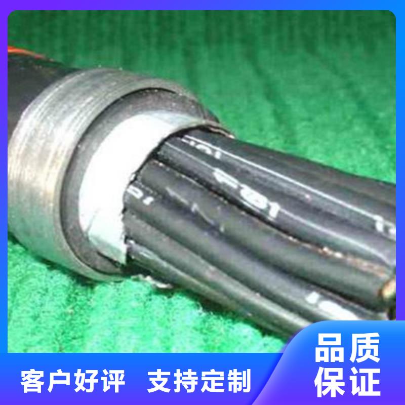 特種電纜屏蔽電纜工藝層層把關(guān)