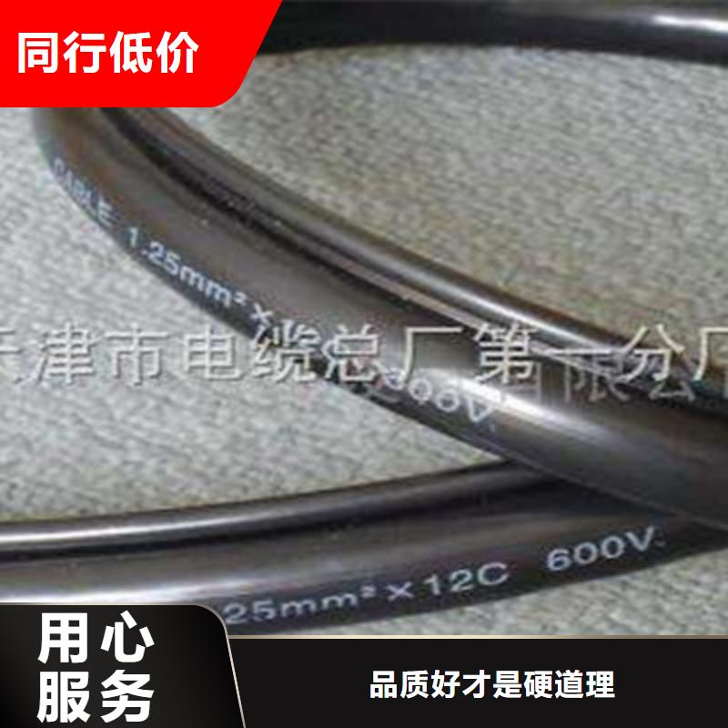 YJVRBV3X6+1X4鐵絲編織電纜貨真價實