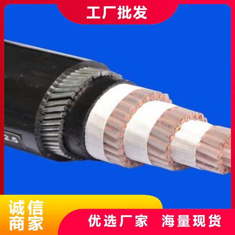 優(yōu)惠的特種電纜60027IEC02實體廠家