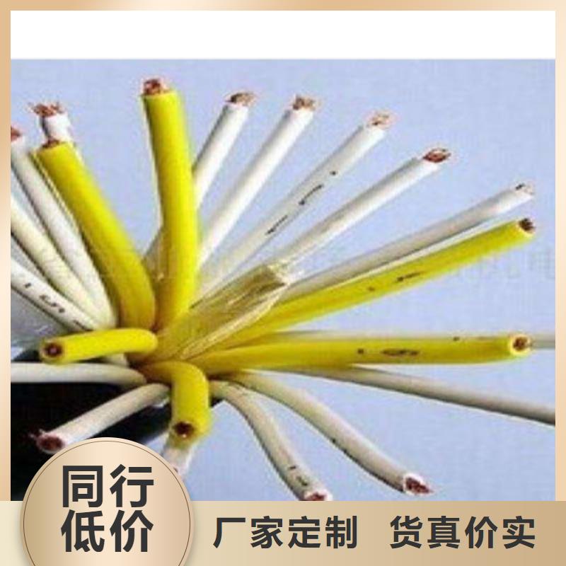 賣現貨供應HYA10X2X0.5的廠家