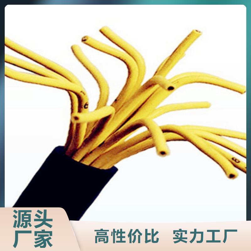 CO-IREV-SX3PX1.25SQ電纜直銷-生產廠家