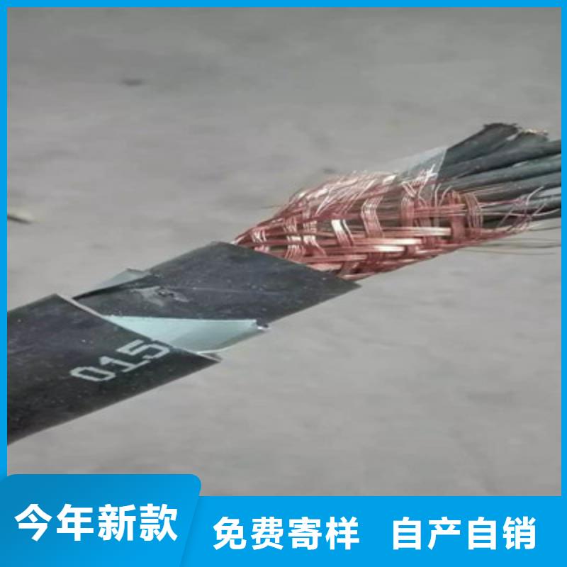 RVVSP222X1.0鎧裝線纜廠家口碑好