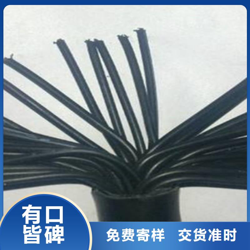 供應KVV22鎧裝控制電纜廠家	_生產廠家