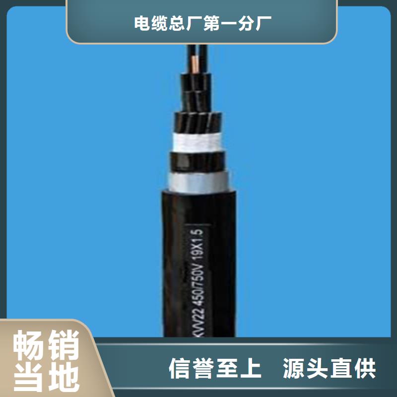 廠家直銷RVTH49X0.25電纜廠家