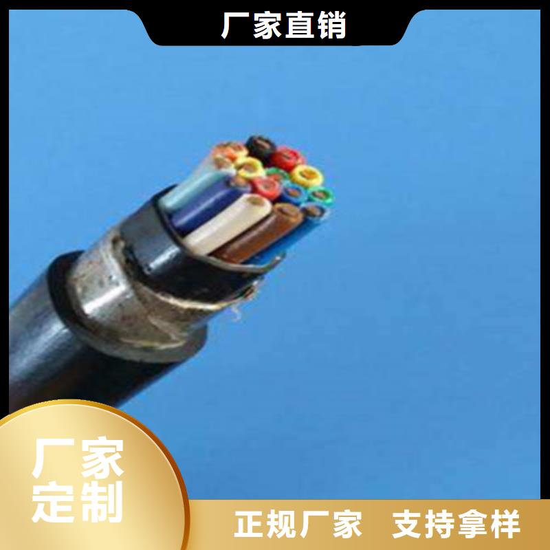 阻燃變頻電纜無中間商3X10+6