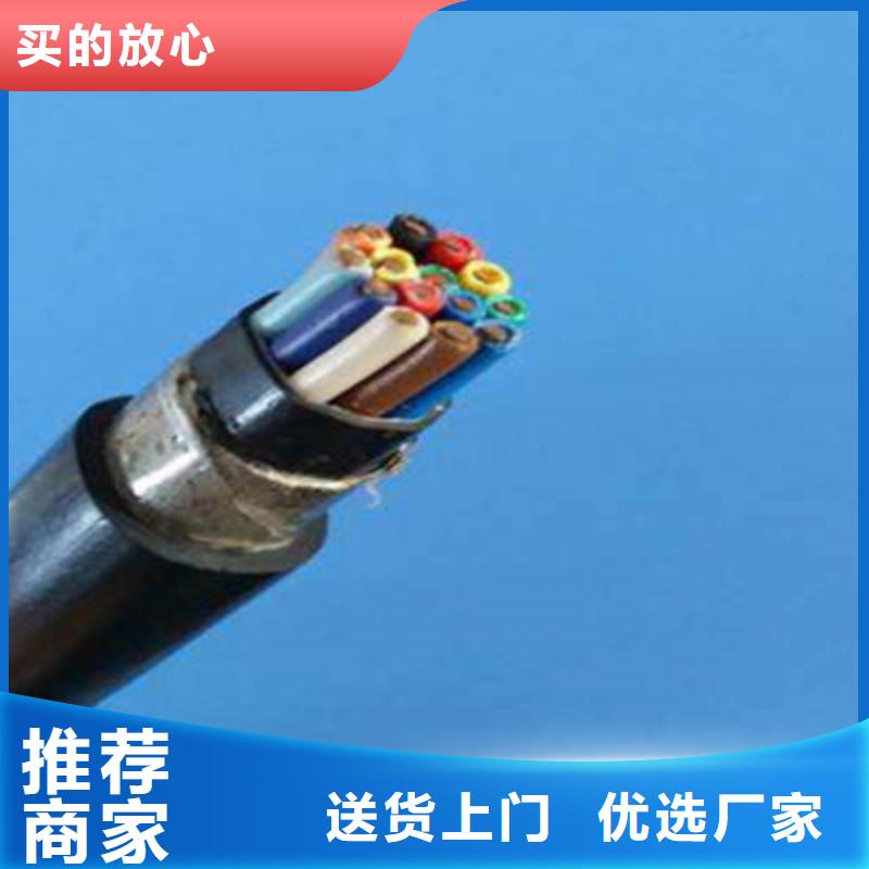 本地BPYJVP12R3X2.5+3X0.5電纜生產(chǎn)廠家
