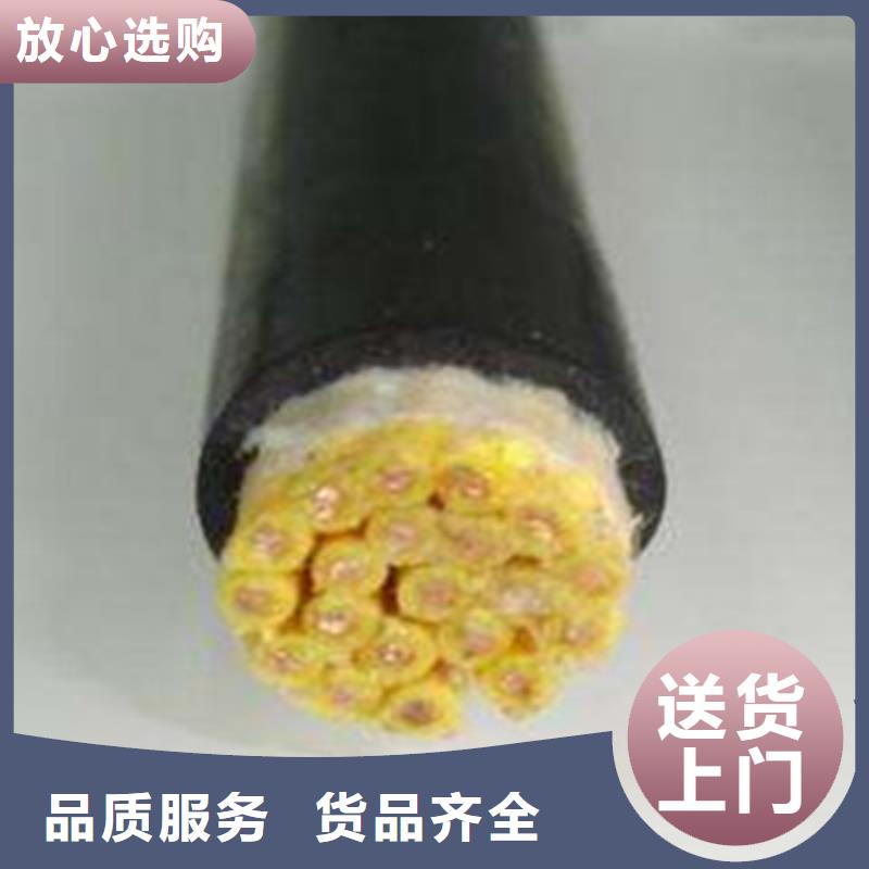 WDZ-RYJ6平方電線廠家放心購