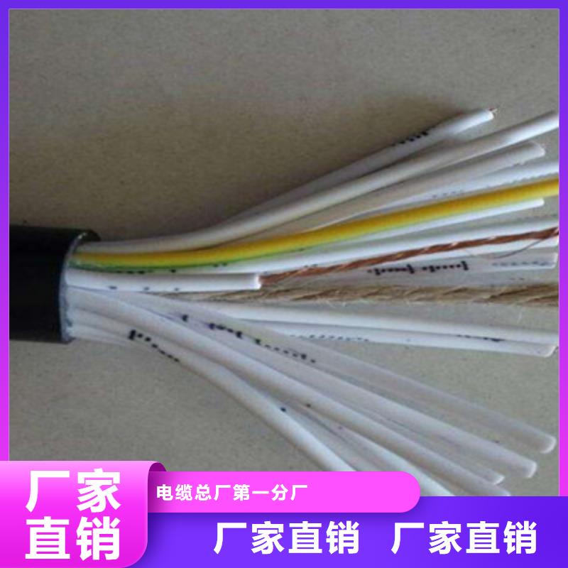 ZR-DJYPVP1X2X1.0阻燃計算機線纜直銷-ZR-DJYPVP1X2X1.0阻燃計算機線纜直銷放心
