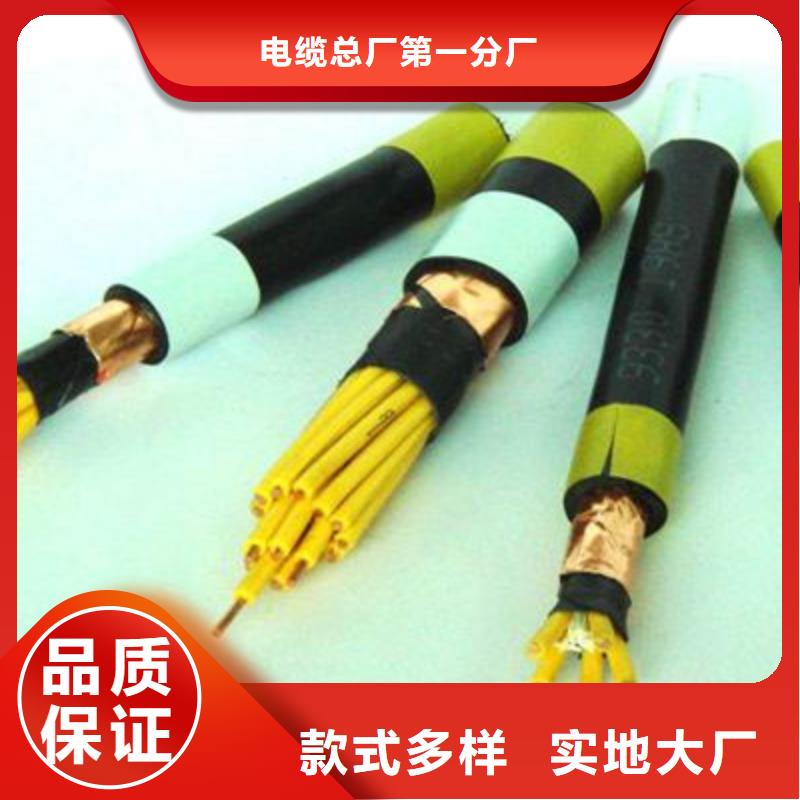 PCMCPF23X2.5+2.5電纜結構品種齊全