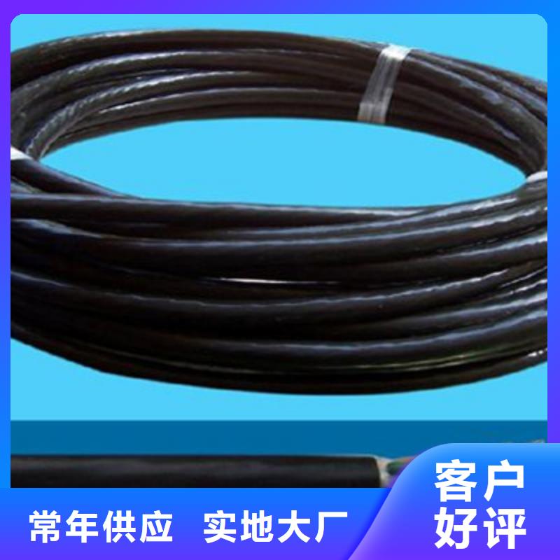 【特種電纜】屏蔽電纜貨源穩(wěn)定