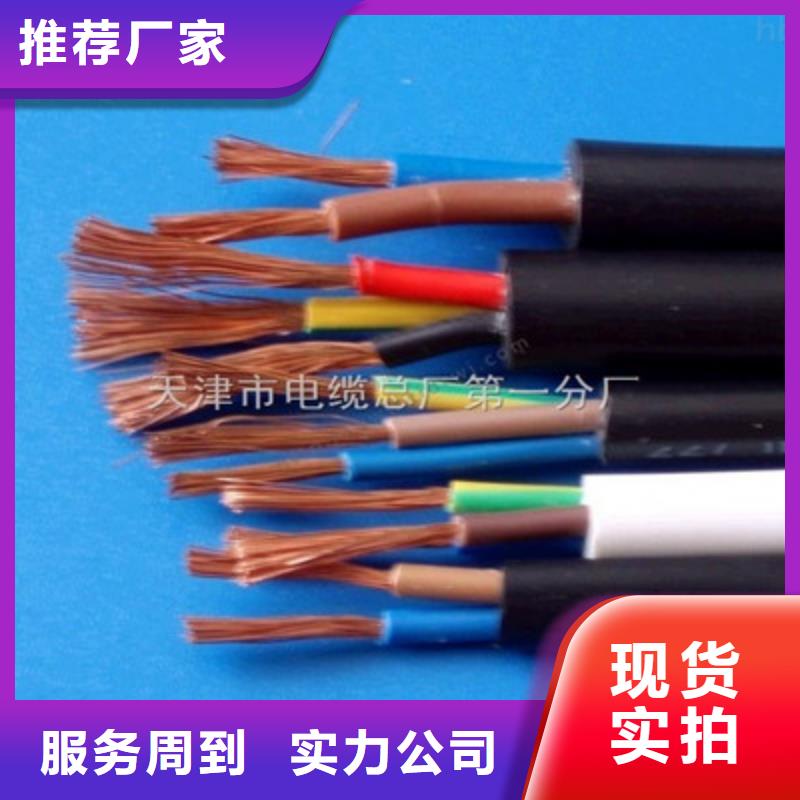 供應批發兩芯電纜RVVSP1X2X1.0-省錢