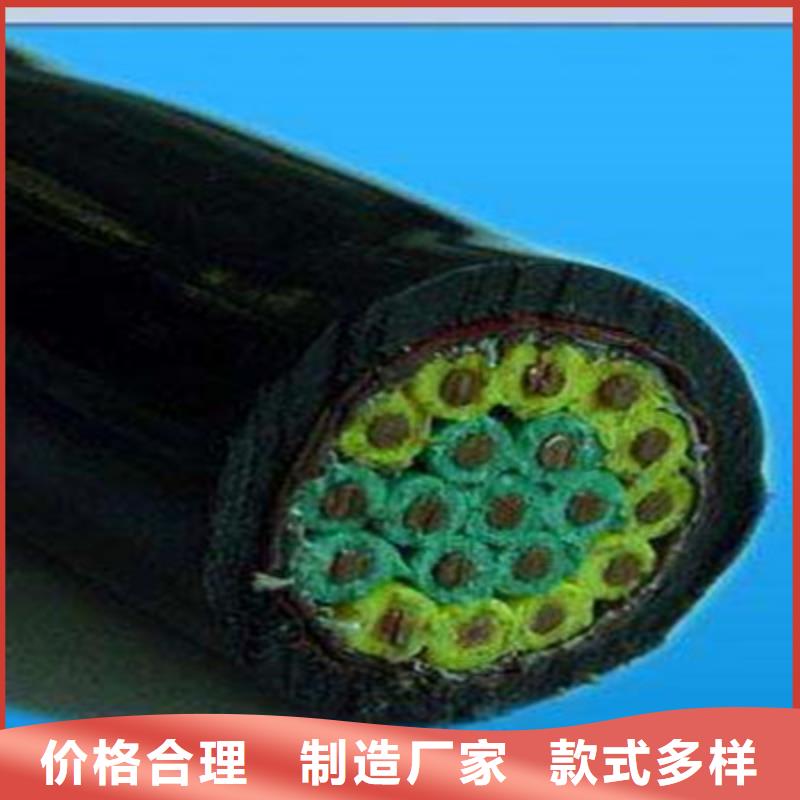 RVVSP222X1.0鎧裝線纜廠家口碑好