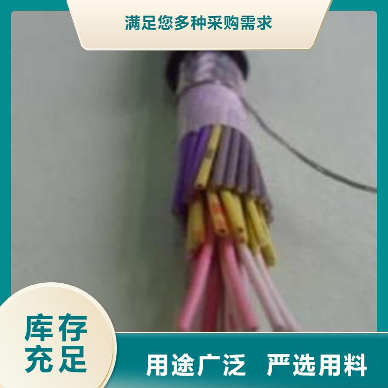 鋼絲鎧裝計算機電纜DYJVP323加工定制
