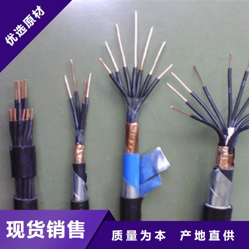 鎧裝計算機電纜N-DJYJP1VRP1-32免費拿樣