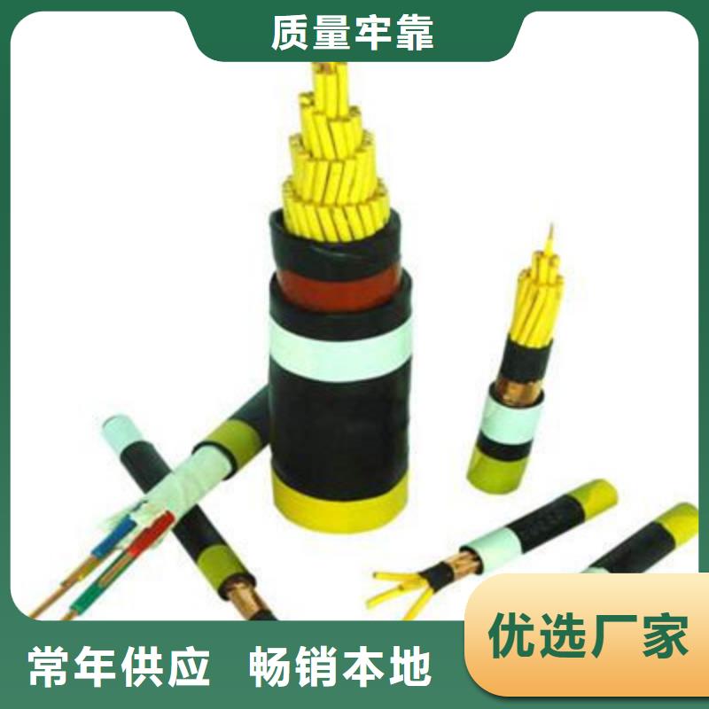 鋼帶鎧裝2芯電纜現貨銷售廠家