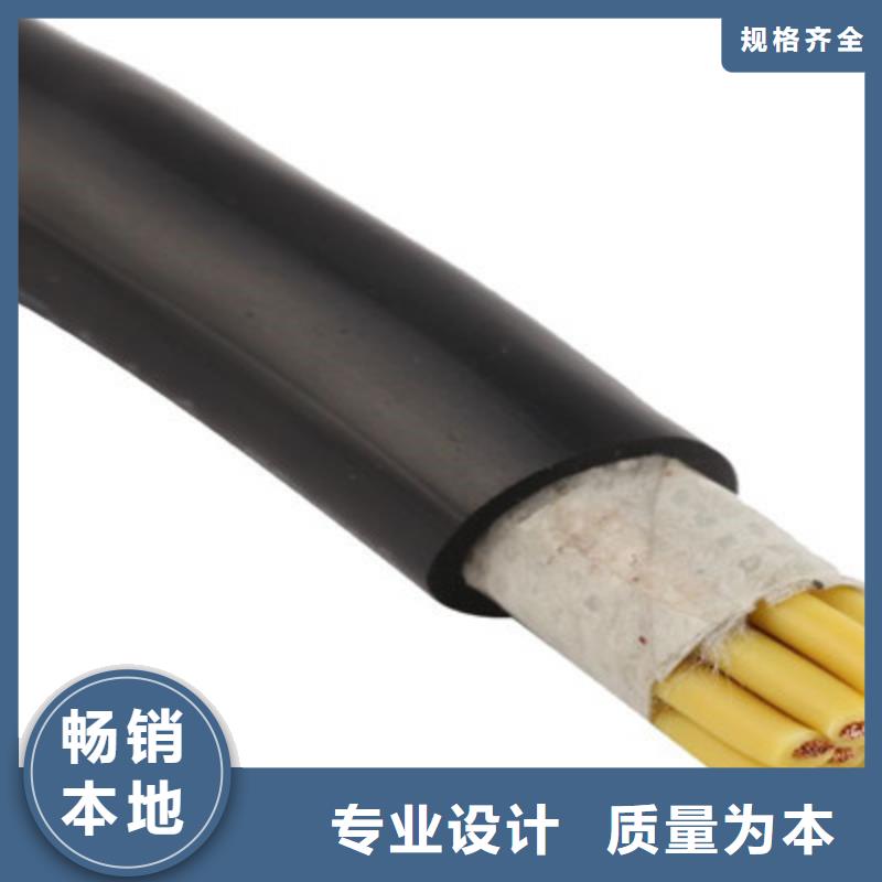 特種電纜電纜生產廠家用心經營