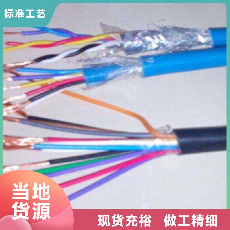 ZR-DJYPVP1X2X1.0阻燃計算機線纜直銷-ZR-DJYPVP1X2X1.0阻燃計算機線纜直銷放心