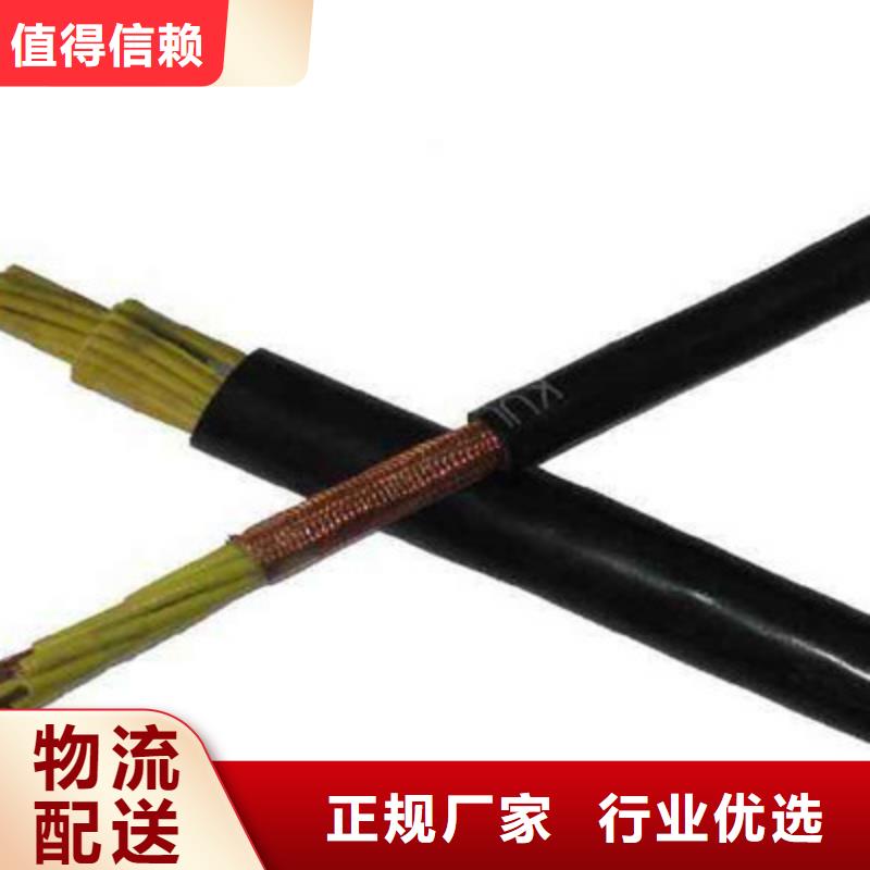 供應批發兩芯電纜RVVSP1X2X1.0-省錢
