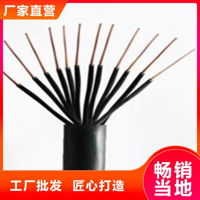 MKVVRP10X2X0.75電纜全國施工