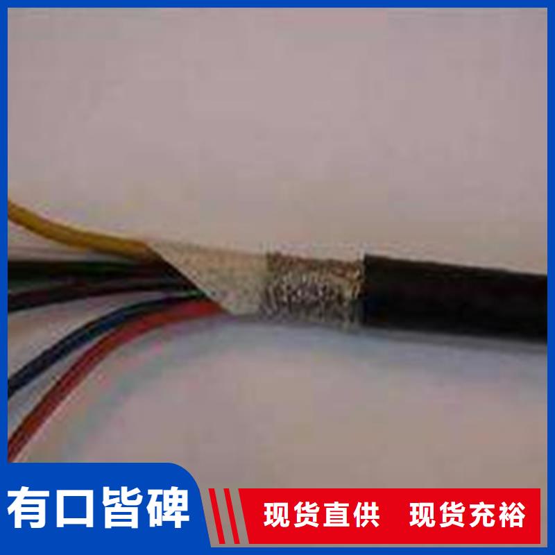 有現(xiàn)貨的DJYP2V50X2X0.75（現(xiàn)貨）生產(chǎn)廠家