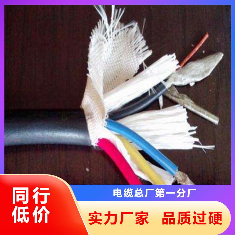 特種電纜控制電纜實力優品