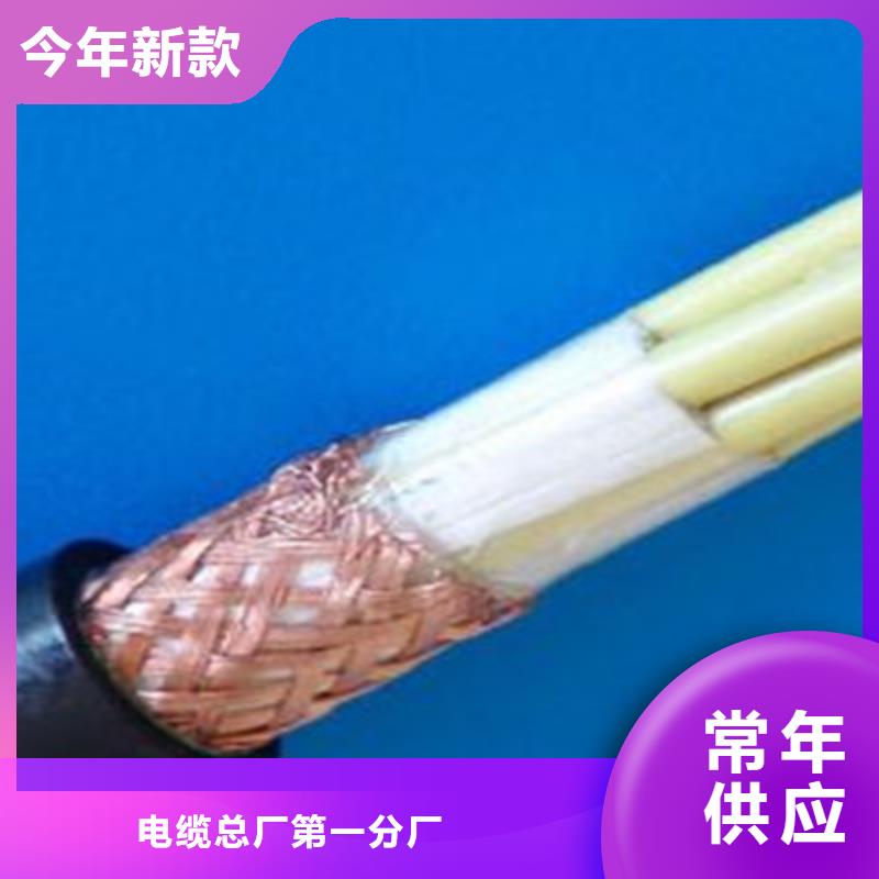 本安電纜IA-RVVPL歡迎電詢