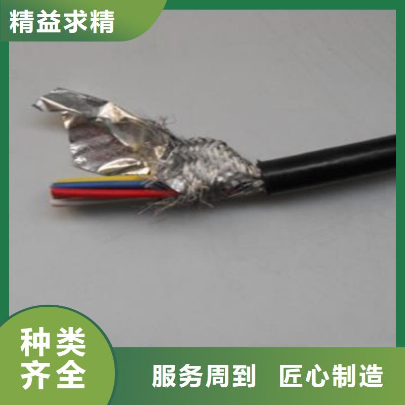 鋼絲鎧裝計算機電纜DYJVP323加工定制