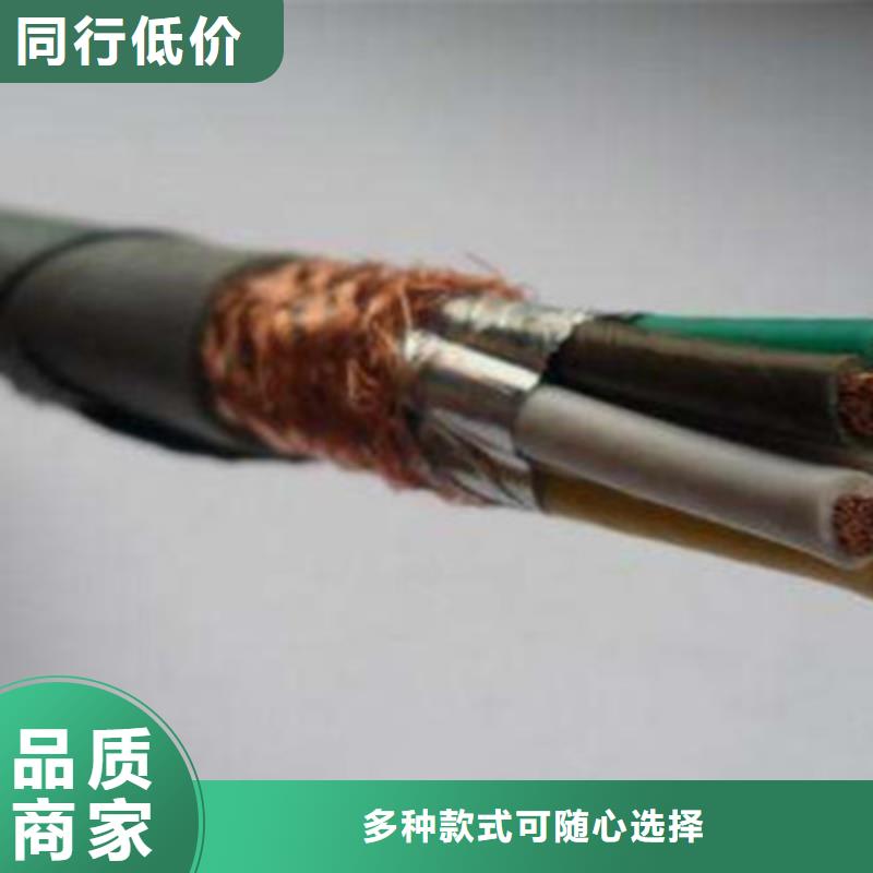 白沙縣FDEHP10X1.0控制電纜供應商