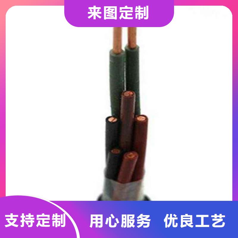 專業(yè)銷售STP-1202X24AWG屏蔽雙絞通訊電纜-省心