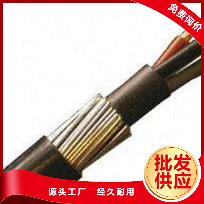 變頻電纜BPYJVP12R3X2.5+3X0.5可定制廠家