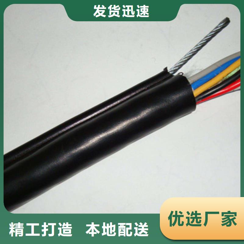 特種電纜-電纜生產(chǎn)廠家可接急單