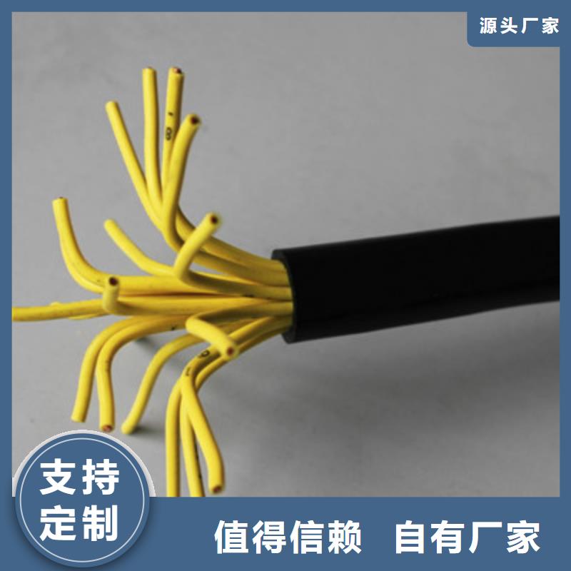 賣現貨供應HYA10X2X0.5的廠家