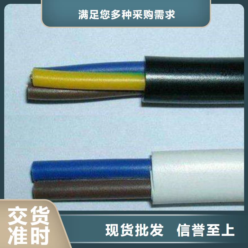 DJYVRP4X2X1.0計算機專用電纜直銷廠家