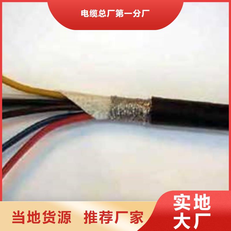 供應批發兩芯電纜RVVSP1X2X1.0-省錢