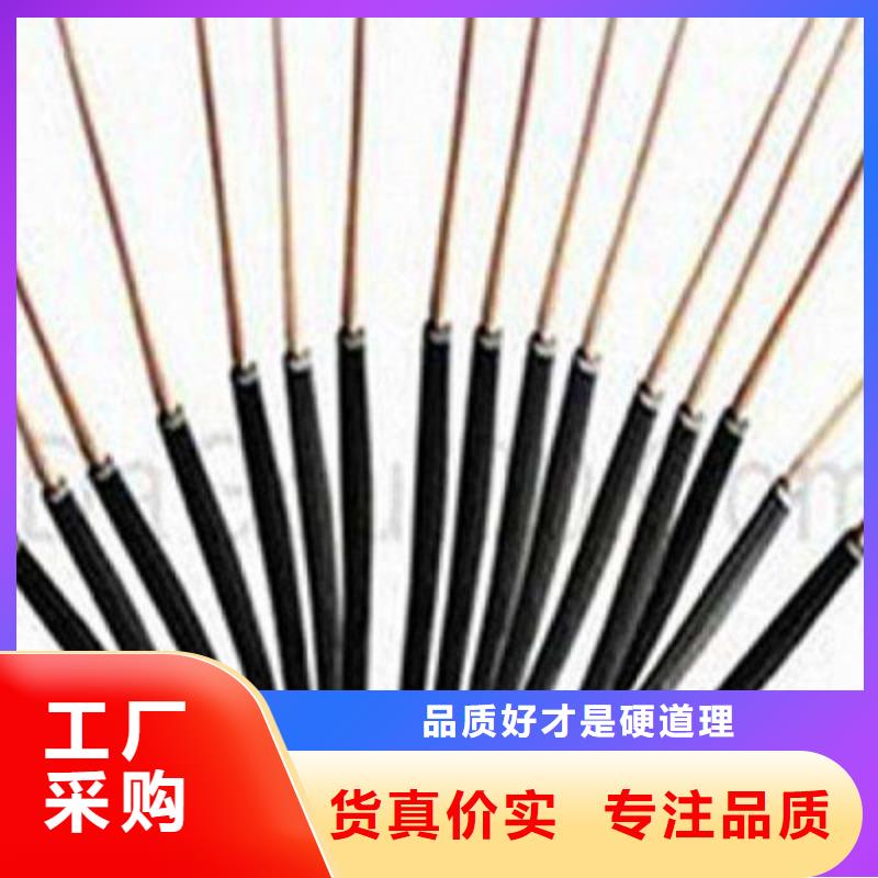 鐵路信號電纜PTYL23良心廠家