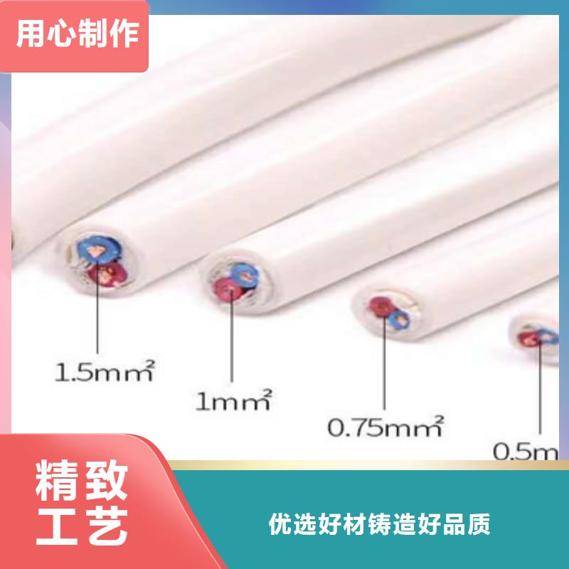白沙縣價格合理的天聯牌YJVP1.5X3+1X1.0小截面電力電纜廠家