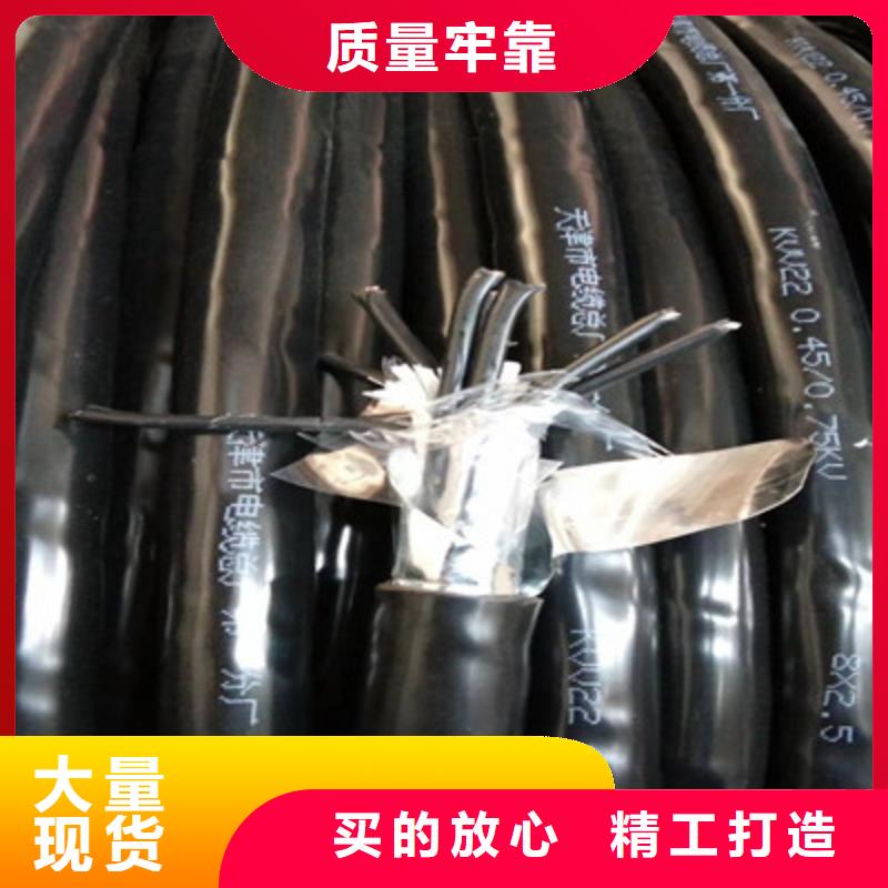 廠家直銷ZA-RVV-1000V1X2.5單線售后無憂大廠