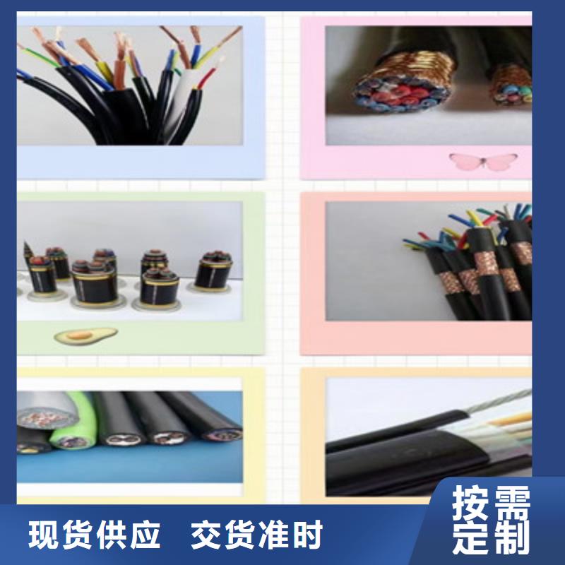 特種電纜控制電纜實力優品