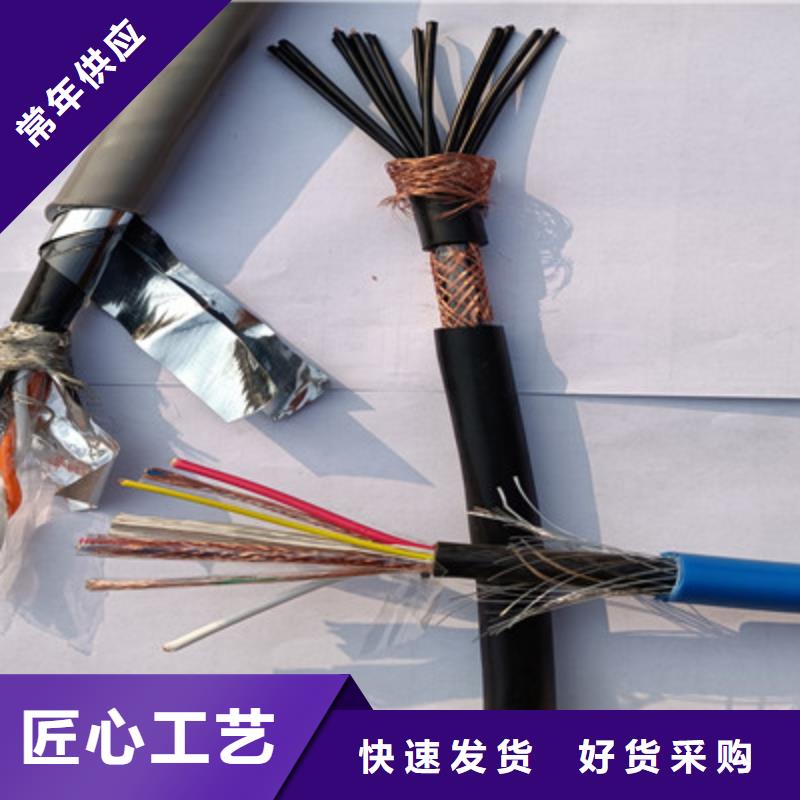 MKVVRP10X2X0.75電纜全國施工