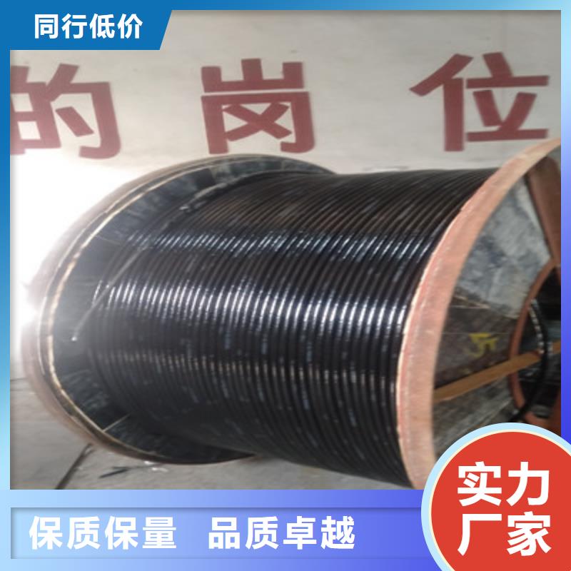 陰極保護(hù)專用電纜銷售廠家