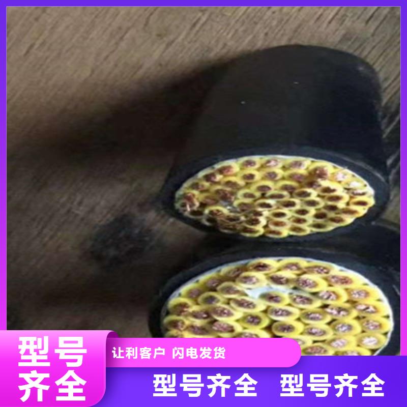 PRVZP-16X19/0.2電纜批發廠家直銷-價格實惠