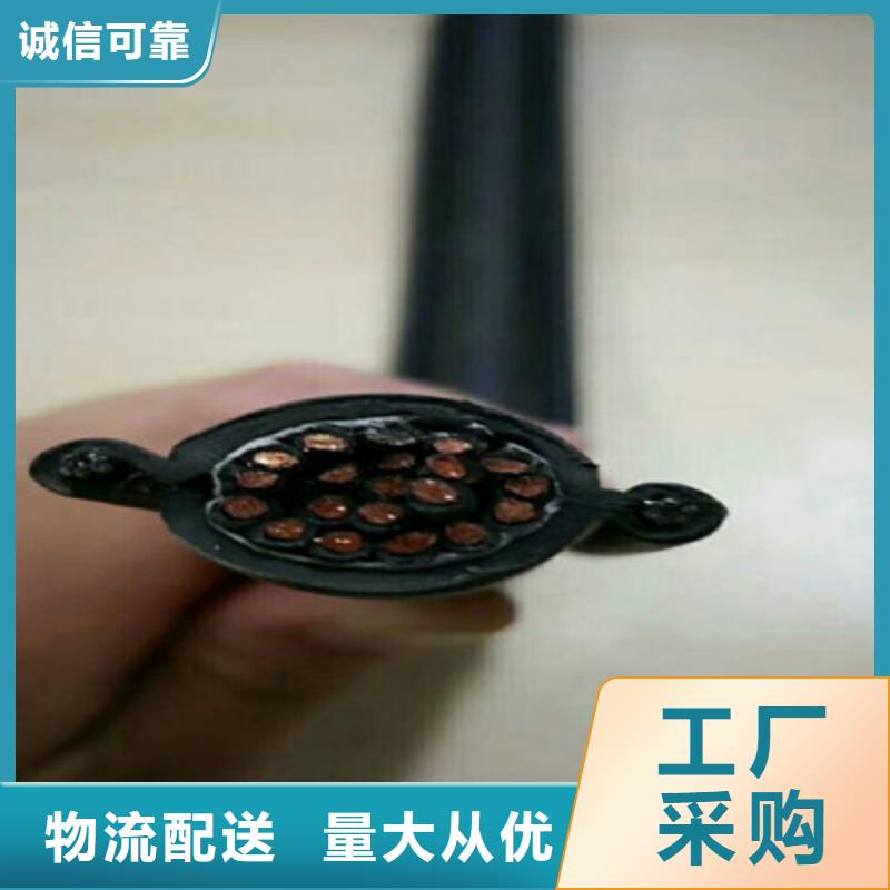 優(yōu)質(zhì)MHYVRP10X2X42/0.15礦用信號電纜的廠家