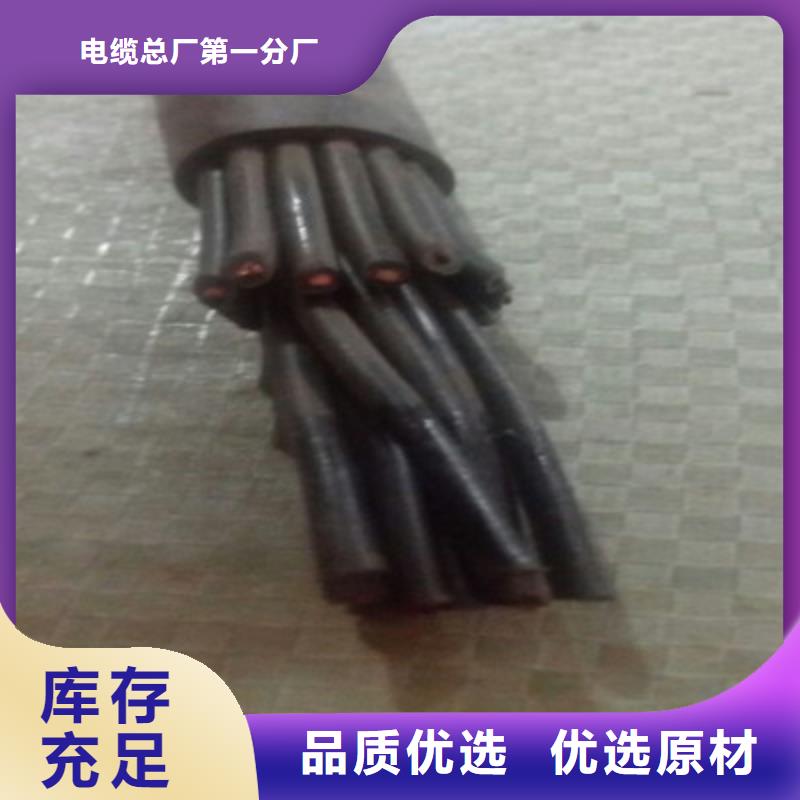 采購控制銅芯電纜YTV必看-質量優
