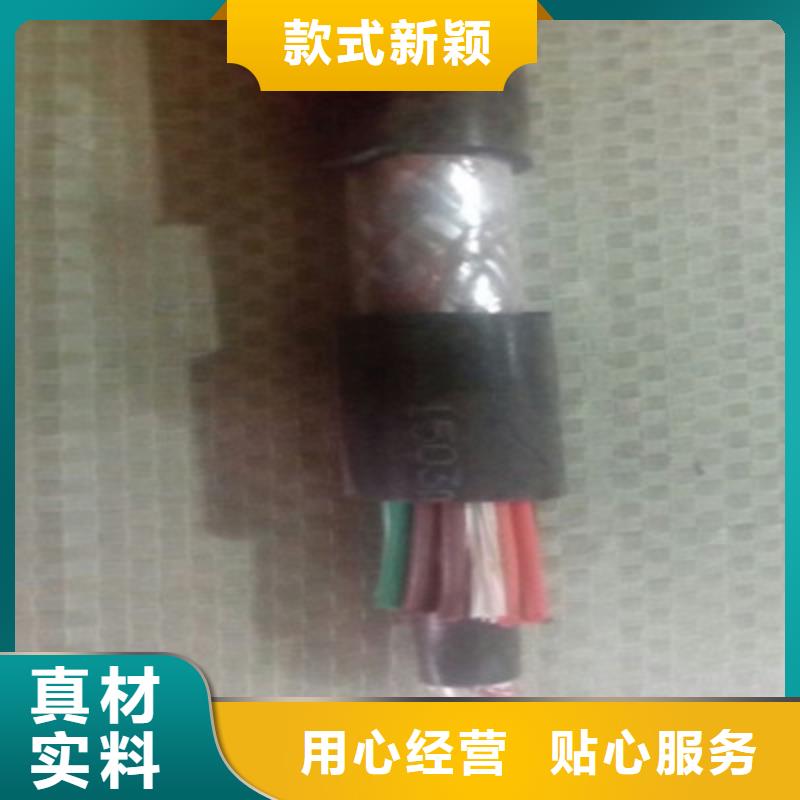 采購控制銅芯電纜YTV必看-質量優