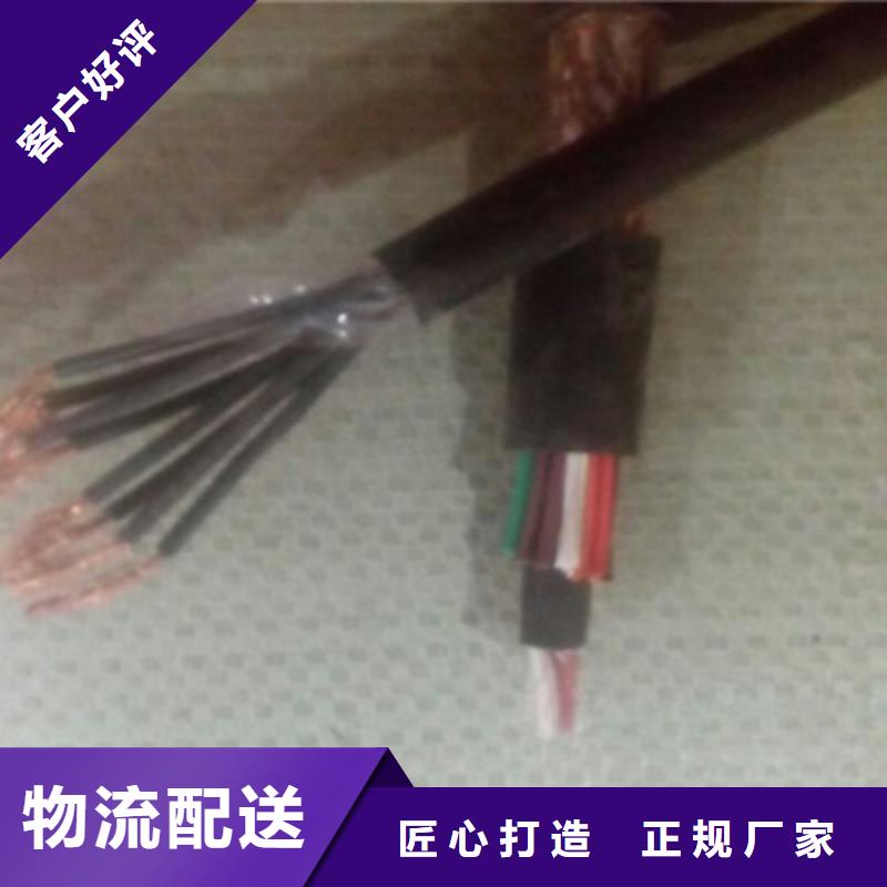 現貨供應阻燃2芯控制電纜_誠信廠家